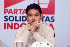 Kaesang Bakal Diusung Sebagai Calon Gubernur DKI Jakarta 2024