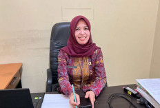 Kasus Kekerasan Terhadap Anak dan Perempuan Meningkat