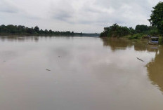 Kementerian LHK Ambil Sampel Air Sungai Batanghari