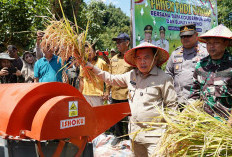 Pemprov dan Pemkab Bersinergi Benahi Sistem Pertanian, Al Haris: Agar Hasil Meningkat