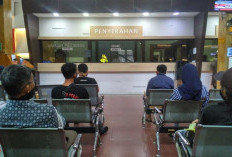 Realisasi Pajak Daerah Capai Rp 257 M