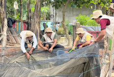 Mengenal Program Desa Energi Berdikari di Eka Jaya Kota Jambi, Masyarakat Olah Sampah Jadi Berkah