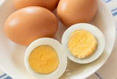 Telur Bantu Jaga Daya Ingat dan Energi Seharian, Sarapan Makin Berkualitas