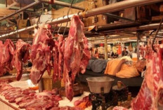 Stok Daging dan Ternak Tercukupi Jelang Idul Adha di Muaro Jambi