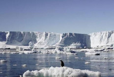 46 Danau Subglasial Ditemukan di Antarktika oleh Tim Ilmuwan China