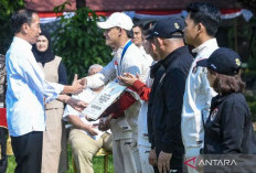 Veddriq Minta Presiden Terus Perhatikan Olahraga Panjat Tebing