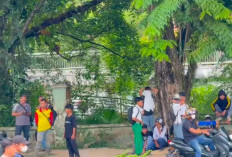 Masih Jam Sekolah, Pelajar SMA dan SMK Nimbrung Aksi Unjuk Rasa