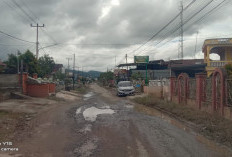 Kerusakan Jalan Desa Lubuk Suli Semakin Parah Warga Harapkan Perbaikan Segera