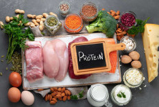 Efek Konsumsi Protein Berlebihan bagi Tubuh