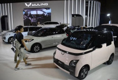 Terkini! Harga Mobil Listrik Bekas per Oktober 2025