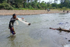 Tradisi Buka Lubuk Larangan Warga Tebat Tanjung Belit 