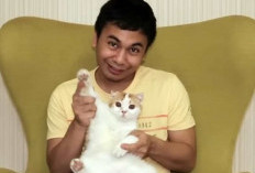 Kucing Raditya Dika Meninggal Dunia Setelah 13 Tahun Bersama