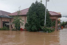 Jambi Wilayah Barat Rawan Longsor dan Banjir, Intensitas Hujan dalam Kategori Ekstrim