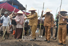 Pemkab Sarolangun Dorong Penanaman Padi Gogo untuk Tingkatkan Produksi Padi