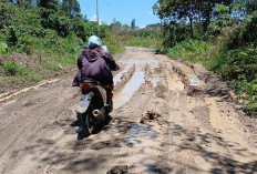 Kondisi Jalan Kabupaten Rusak Parah, Warga Minta Segera Diperbaiki