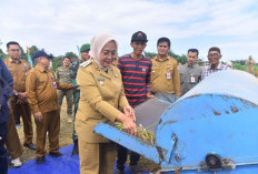 Pastikan Keberlanjutan Produksi Pertanian