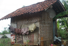  Ribuan Rumah Tak Layak Huni di Tanjab Barat