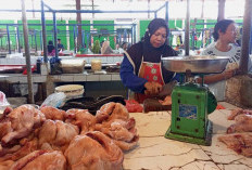 Masih Tinggi Walau Turun, Harga Ayam di Pasar  Aur Duri