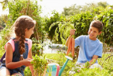 Berkebun Baik untuk Kesehatan