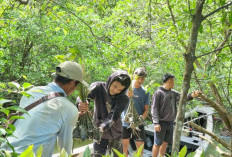 BRGM Restorasi 1,6 Juta Ha Gambut 