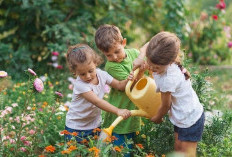 Berkebun Sejak Usia Dini, Aktivitas Sederhana yang Bisa Bentuk Kreativitas dan Karakter Anak