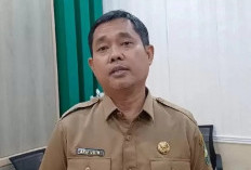 Kasus DBD di Muaro Jambi Setiap Bulan Meningkat