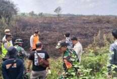 Sepanjang Tahun 2024, Tujuh Puluh Hektare Lebih Lahan di Muaro Jambi Terbakar 