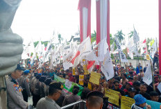 Bendera Walhi Berkibar di Kantor DPRD Provinsi Jambi