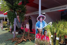 PDIP Dorong Petani Berdikari, Hadapi Tantangan Pangan Nasional