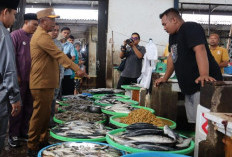 Stok Kebutuhan Pokok Menjelang Nataru Merangin Cukup