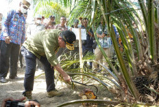 Al Haris Sebut Jadi Aksi Nyata, PLTB Buahkan Hasil yang Memuaskan