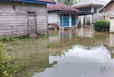  Sungai Batang Tebo Meluap Banjir Rendam 3 Desa di Bathin II Bungo