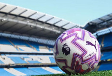 Puma Orbita Ultimate PL, Bola Resmi Premier League 