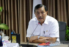 Luhut Minta Kader Golkar Solid 