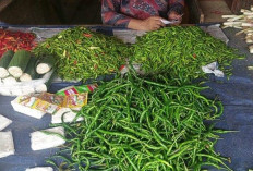 Harga Cabai Berangsur Turun Di Pasar Tradisional Kualatungkal
