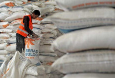 Beras Cadangan Muarojambi Capai 41 Ton, Penyaluran Masih Terkendala Perda