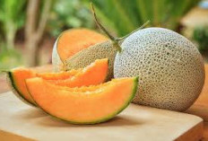 Melon Madu Ampuh Mengendalikan Tekanan Darah  Bagus untuk Penderita Diabetes