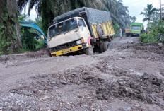 Dishub Siap Tindak Tegas Pelanggar, Larang Truk Sawit Melebihi Kapasitas 