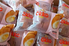 Apa yang Harus Dilakukan Jika Telanjur Makan Roti Okko Berpengawet Kosmetik? Begini Penjelasannya