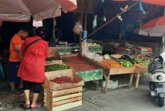 Cabai Rawit dan Bawang Naik