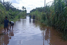Warga Keluhkan Banjir Tahunan jadi Langganan, Akibat Sedimentasi Aliran Sungai Lagan