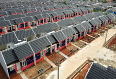 Program 3 Juta Rumah dan MBG Jadi Peluang Industri Asuransi