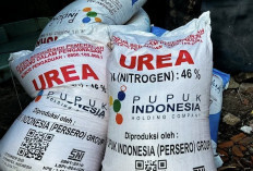 Mentan Tegaskan 2.039 Kios Pupuk Nakal Tak Ganggu Pertanaman Petani, Stok 9,5 Juta Ton Aman
