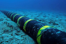  27 Perusahaan Operator Kabel Laut Terancam denda 