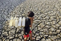 El Nino Melanda Afrika Selatan, 68 Juta Orang Terkena Dampak Kekeringan