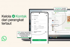 WhatsApp Tingkatkan Fitur Pengelolaan Kontak untuk Pengalaman Pengguna yang Lebih Baik