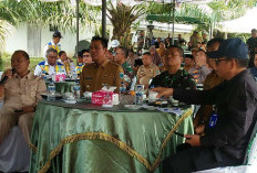 Batang Hari Jadi Pusat Gerakan Penanaman Padi Serentak se-Provinsi Jambi