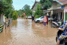 Banjir Menahun Melanda Kota Jambi  Warga Khawatir Kondisi Semakin Memburuk