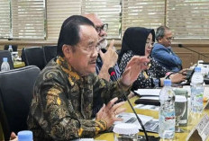 Senator RI: Pertimbangkan Pilkada Dikembalikan ke DPRD