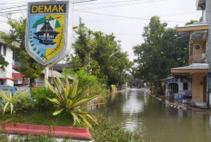 Jokowi: Banjir Demak Dipicu Cuaca hingga Alih Fungsi Lahan 